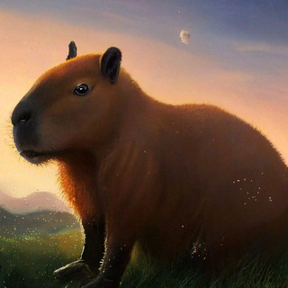 Telegram profile photo for CITP