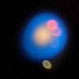 Telegram profile photo for MOLD