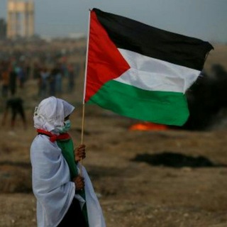 Telegram profile photo for Palestina libre / Free Palestine 🇵🇸