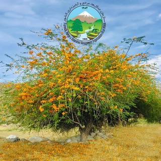 Telegram profile photo for 🌿همیاران طبیعت جنوب کرمان🌿