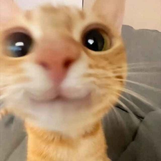 Telegram profile photo for Tumba нᴇбᴇᴄный so2/two #nebesnyMf