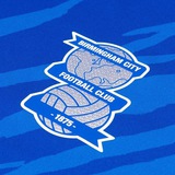 Telegram profile photo for Keep Right On | Birmingham City • Бирмингем Сити