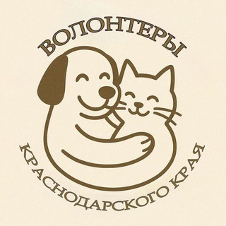 Telegram group profile photo for Волонтеры Краснодарского края