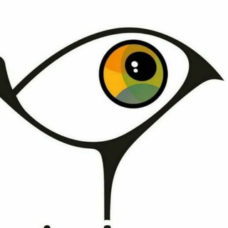 Telegram profile photo for аha.kg