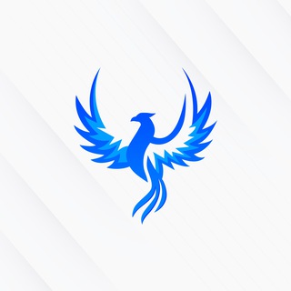 Telegram profile photo for Phoenix Education Discussion
