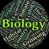 Telegram profile photo for BIOLOGIYA SIRTQI VA KECHKI TALABALARI