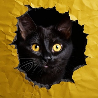 Telegram profile photo for Жизнь "Зоошанса"