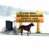 Telegram profile photo for Ghoda king Krishna Maxwell what's app 9919701957