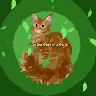 Telegram profile photo for ʚ𝐒𝐮𝐧𝐬𝐡𝐢𝐧𝐞 𝐬𝐡𝐨𝐩ɞ