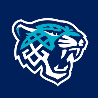 Telegram profile photo for МХК «Снежные Барсы»