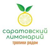 Telegram profile photo for Лимонарий Саратов
