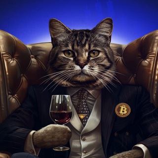 Telegram profile photo for КриптоКот 🐈 CryptoCat