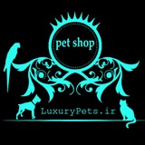 Telegram profile photo for Luxurypets