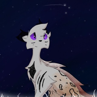 Telegram profile photo for ✧`` 𝐒𝐭𝐚𝐫 𝐋𝐮𝐥𝐥𝐚𝐛𝐲 𝐅𝐨𝐠𝐨 ``✧