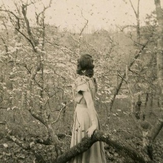 Telegram profile photo for smell of moonlight