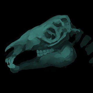 Telegram profile photo for Suohäin🫁