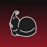 Telegram profile photo for Kandex Studio