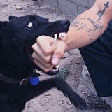 Telegram profile photo for chiro's deep web