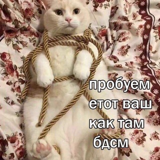Telegram profile photo for Верхние Мемасы