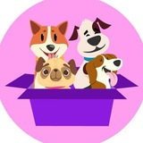 Telegram profile photo for FEEDEVERYDOGS_Announcement