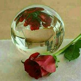 Telegram profile photo for بانوی نمونه