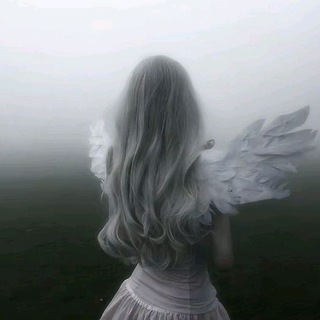 Telegram profile photo for IRIS