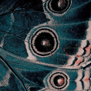 Telegram profile photo for WTH Олбифайновьеˎˊ˗