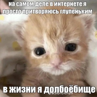 Telegram profile photo for В стакане