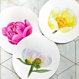 Telegram profile photo for БОТАНИЧЕСКАЯ ЖИВОПИСЬ 🌸 ЦВЕТЫ АКВАРЕЛЬЮ