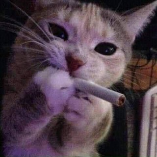 Telegram profile photo for 💸✨Заработок на отзывах⚡️💵
