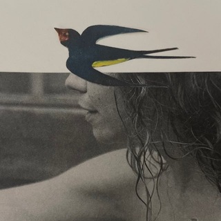 Telegram profile photo for записки ласточки