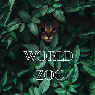 Telegram profile photo for World ZOO 🐿