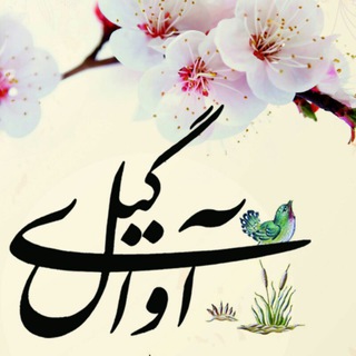 Telegram profile photo for گروه موسیقی محلی آوای گیل