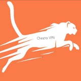 Telegram profile photo for Cheeta VPN