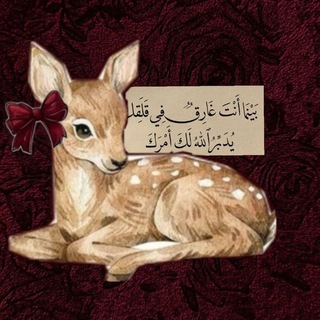 Telegram profile photo for RFl