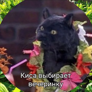 Telegram profile photo for Киса выбирает вечеринку!