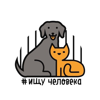 Telegram profile photo for БФ «Ищу человека»