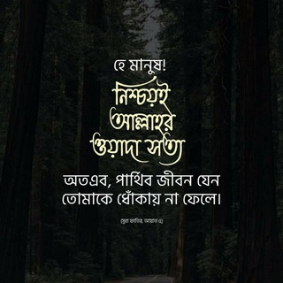Telegram profile photo for তা'লিম। تعليم । Ta'lim