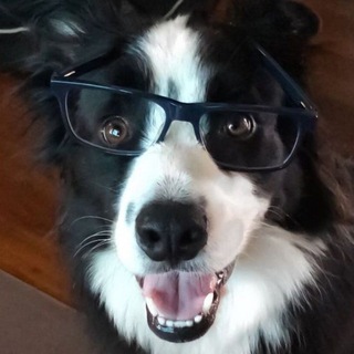 Telegram profile photo for Сана