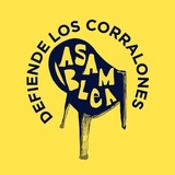 Telegram profile photo for 🔊DIFUSIÓN ASAMBLEA DEFIENDE LOS CORRALONES