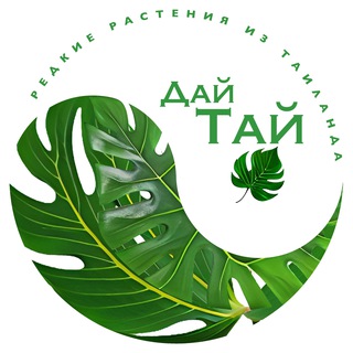 Telegram profile photo for ДайТай