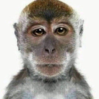 Telegram profile photo for Джордж