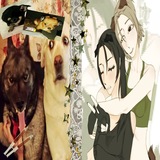 Telegram profile photo for •וBelka Family•ו •|ПОЛУ-РЕСТ|•
