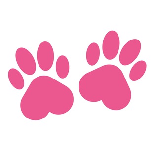 Telegram profile photo for Lapki Groom Лапки Грум | стрижка кошек и собак