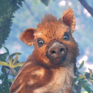 Telegram profile photo for Переезжаем лол