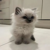 Telegram profile photo for LuckyStars