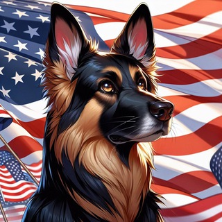 Telegram profile photo for Conan on SOL Portal
