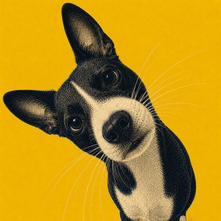 Telegram profile photo for Ozzy digest