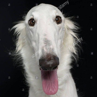Telegram profile photo for мои мысли🍕