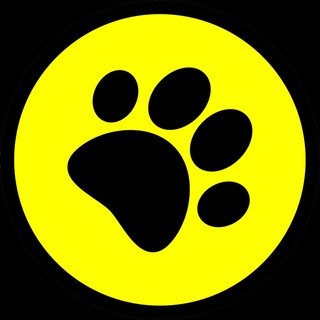Telegram profile photo for PABLO NEWS 18+
